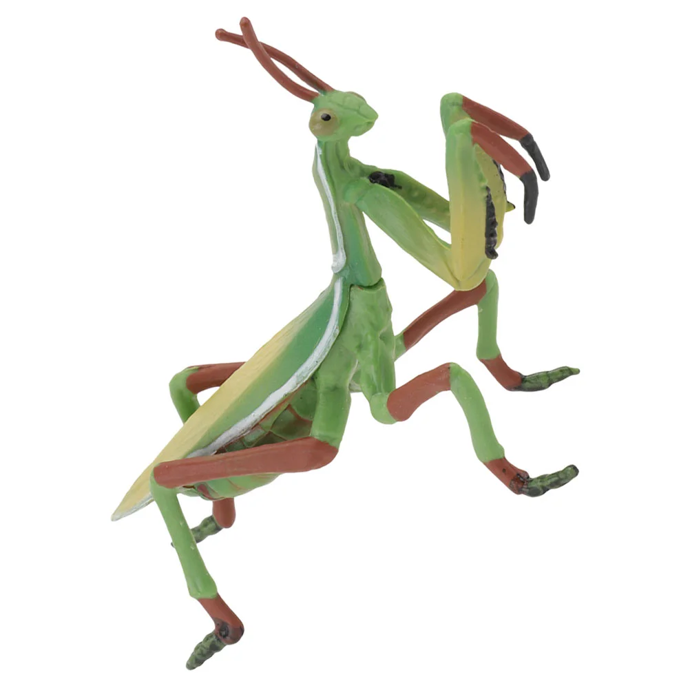 Adornos de Mantis de plástico para niños, juguete educativo, juguetes para niños, modelo de insectos realistas, maceta