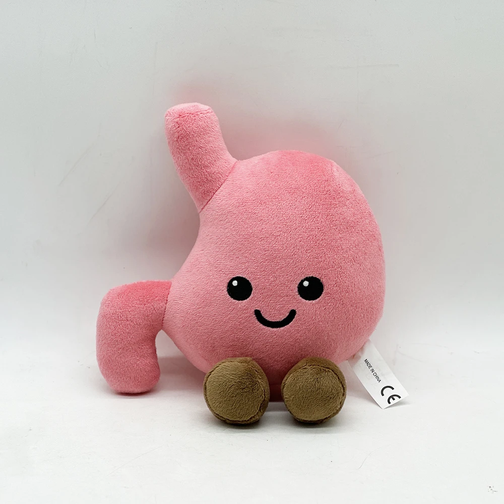 Cute organ plush toy simulation stomach,fun plush toy plush gift,room decoration, boys and girls' birthdays gifts