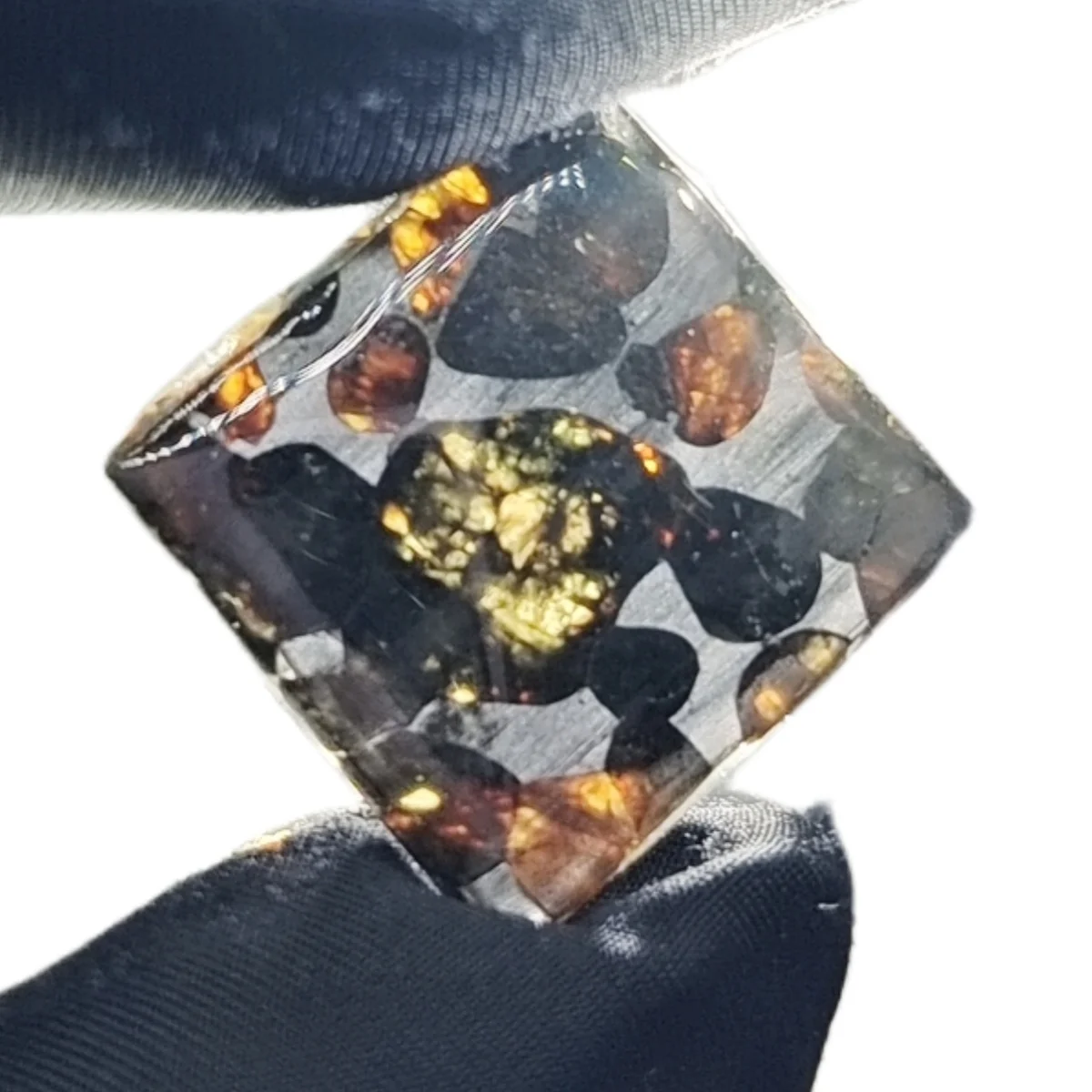 5g Seymchan Pallasite Olive Meteorite Slices Specimen Natural Meteorite Material Sliced Collection - TA645