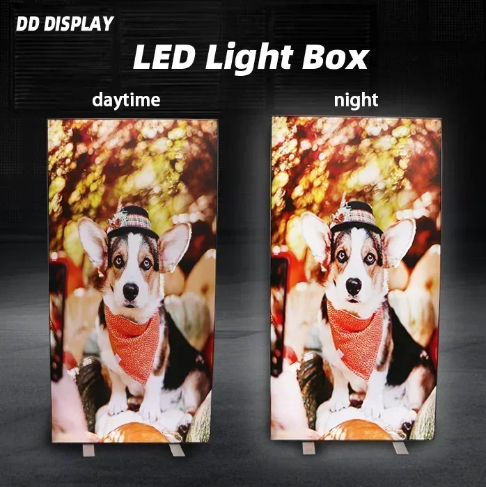 

DD Custom LED Trade Show Full Color Lighting Backdrop Wall Exhibition Background Stands 85x200cm size Light Box Stand Banner