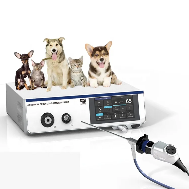 Medical Veterinary Gastrointestinal Endoscopy Video Endoscope Camera 4K Pet Endoscope