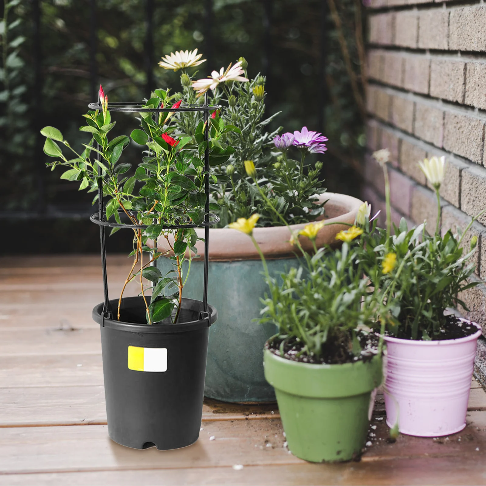 

1Set Plastic Plant Shelf Vertical Climbing Support for Gardens Lawns Patios Courtyards Potted Plants Holder Easy Assembly