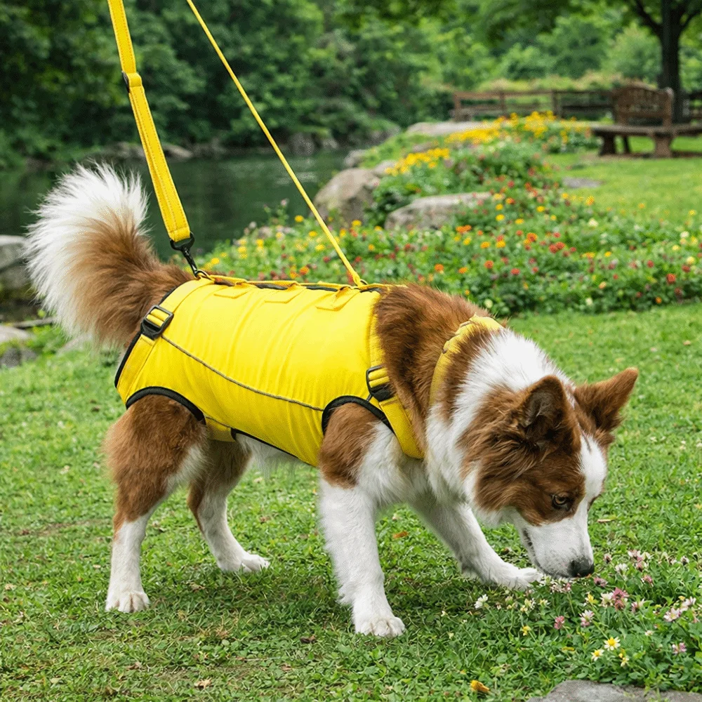 Adjustable Dog Lift Harness 2