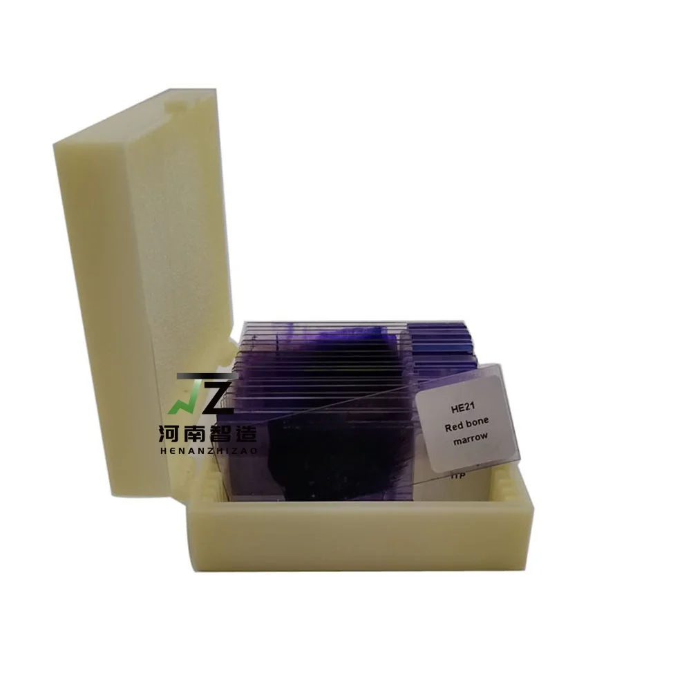 Educational School Equipment 15Pcs/Set Hematology Blood Smear Prepared Slides
