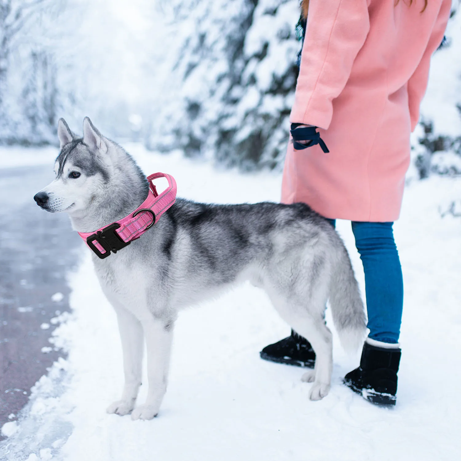 Guinzaglio tattico durevole per collare per cani Set guinzaglio per collare militare regolabile per cani di taglia media accessori per