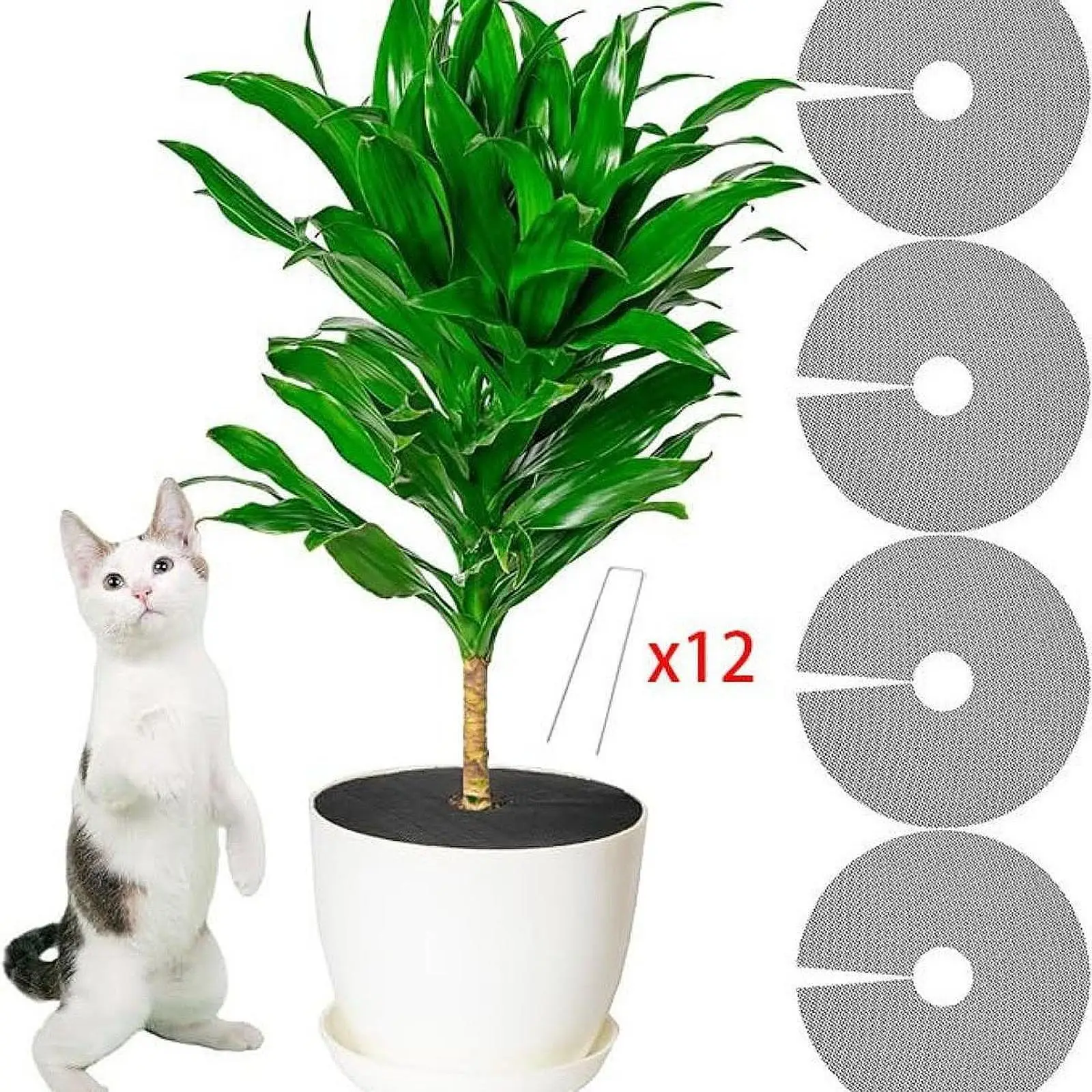 

4x Plant Pots Protector Cover Cat Digging Stopper Protection Tree Disc Plant