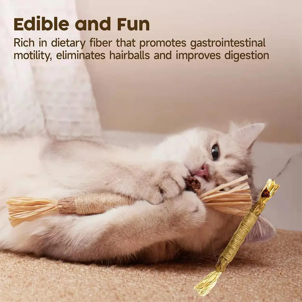 Catnip Pet Cat Molar Toothpaste Stick Natural Catnip Stick Cleaning Mint Stick Accessories Teaser Supplies Pet Teeth Toy