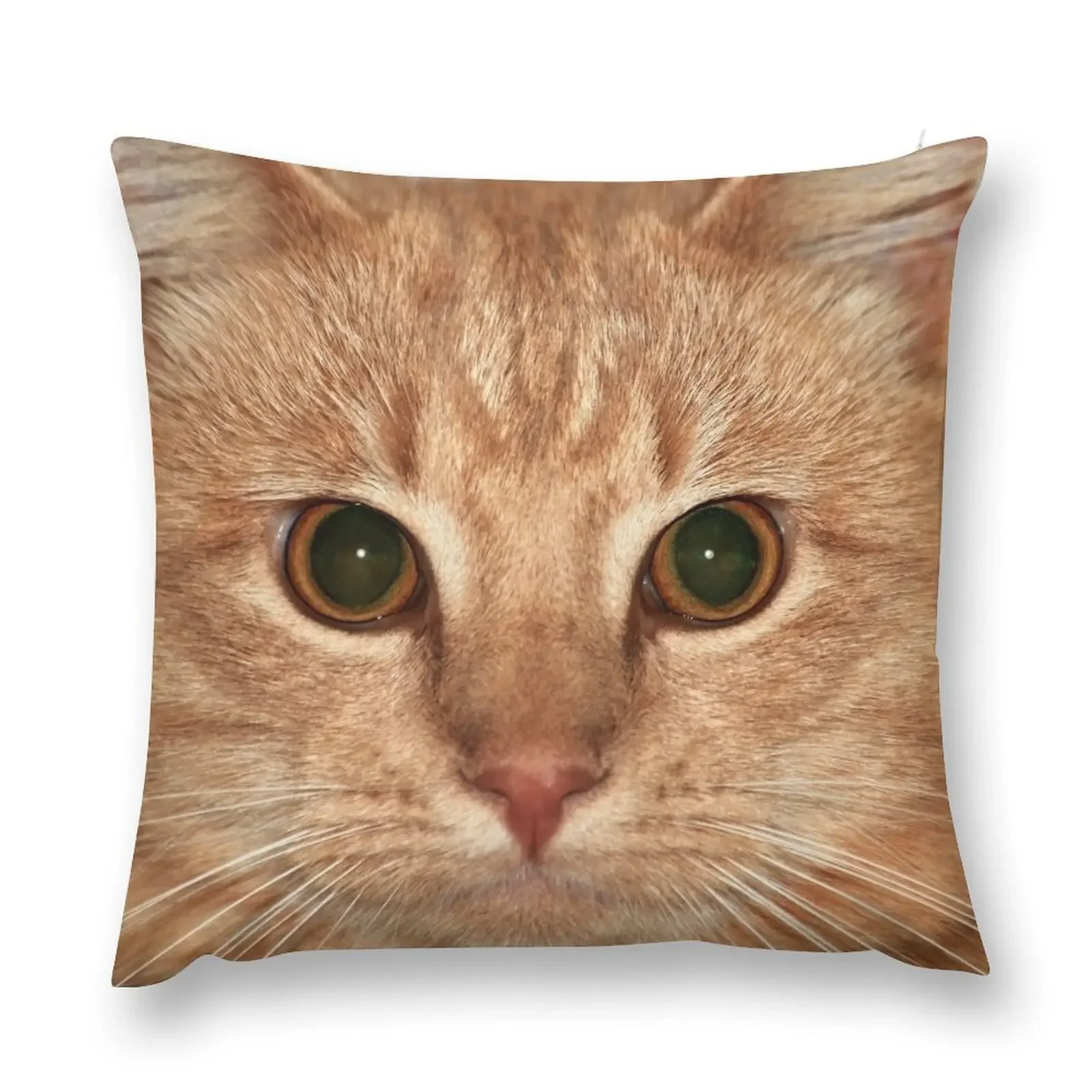 

The rare one!!!!!!! Throw Pillow Decorative pillowcase anime girl Sitting Cushion Pillowcase Cushion pillow