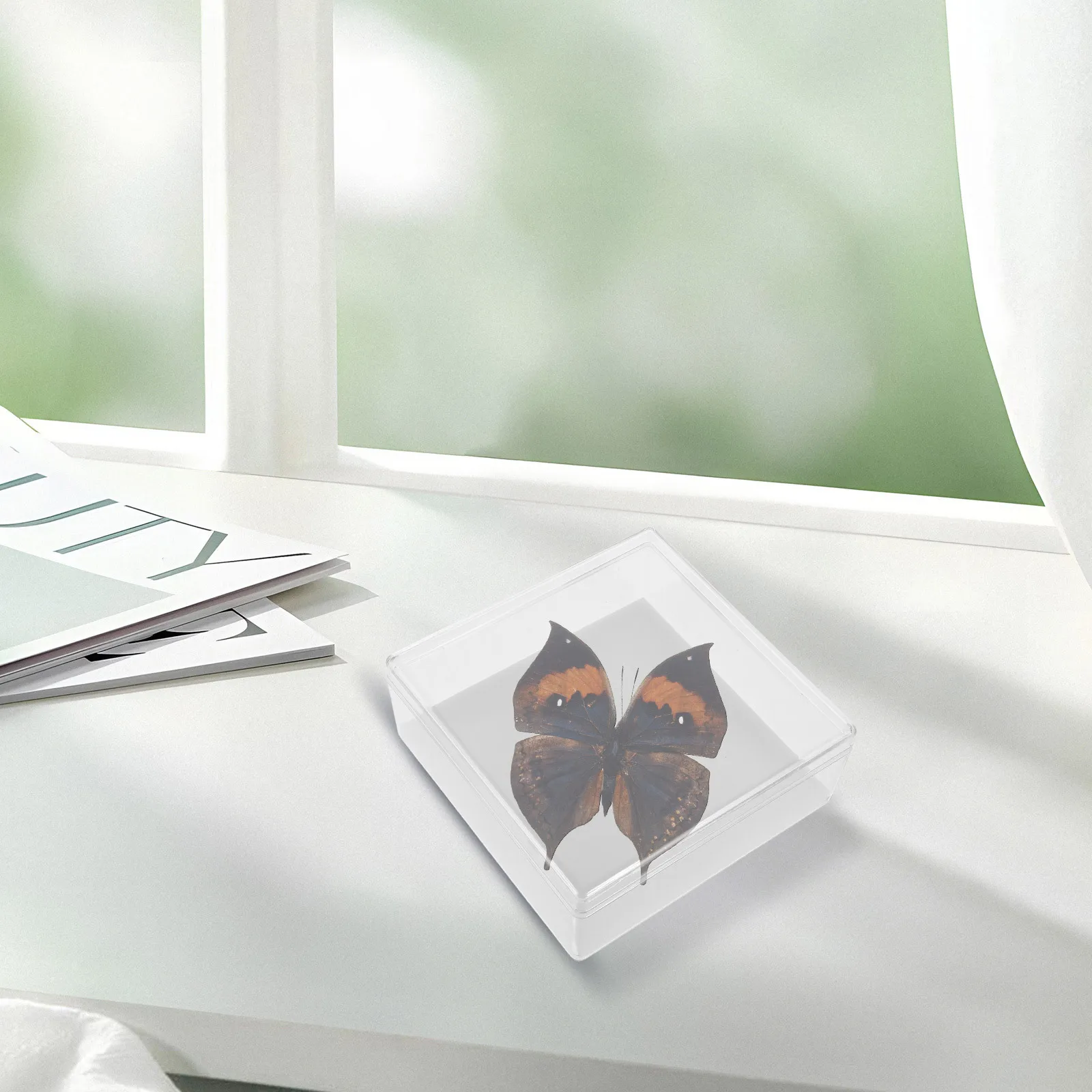 صندوق عرض العينات الشفاف DIY علبة أكريليك لعرض مجموعة الدبوس مثالية لتعليم البحث والمقتنيات #1