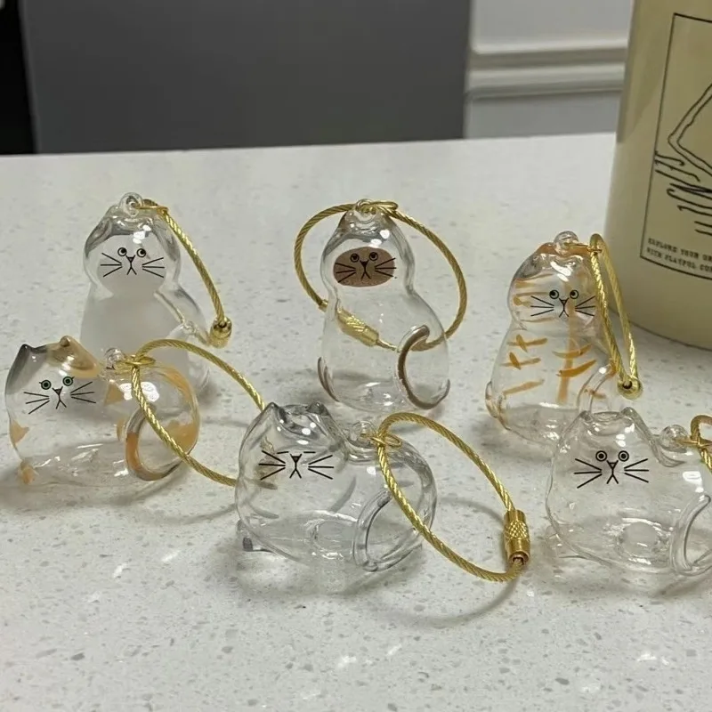 1/6 قطعة الاكريليك القط الشعر سلسلة مفاتيح تذكارية شفافة الحيوانات الأليفة الفراء صندوق تخزين تذكار قلادة هدية للحيوان معلقة الديكور #6