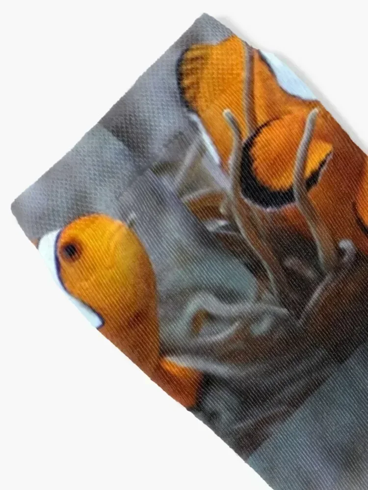 Clownfish Socks happy winter thermal Children's colored Socks Girl Men's