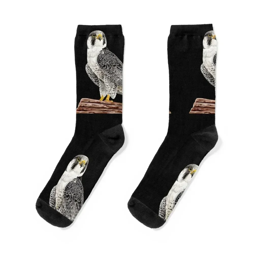 

Peregrine Falcon on the cliff Socks aesthetic sheer set loose Man Socks Women's