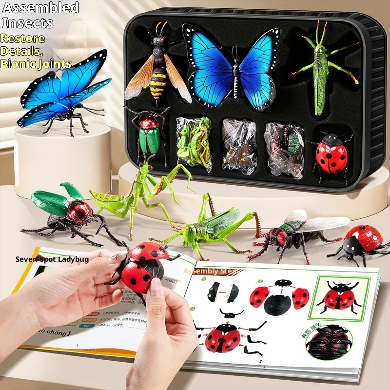 

Child Simulation Insect Model 4d Assembled Puzzle Animal Toy Butterfly Bee Mantis Action Figures Educational Kid Toy Gift