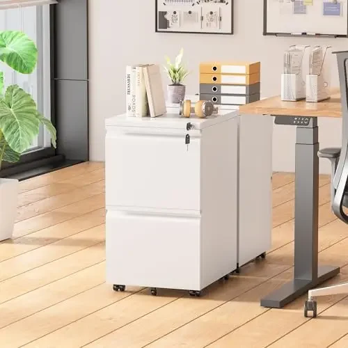 2 Drawer File Cabinet, Small File Cabinets with Lock, Metal Rolling Filing Cabinet with 2 Drawer, Filing Cabinets for Home