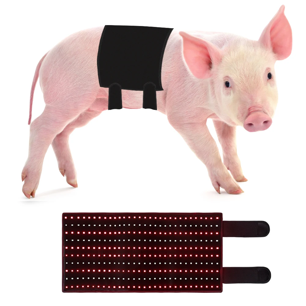 Hot Sale Wearable Devices Led Near Infrared Light Therapy Pad Belt Wrap Led Red Light Therapy Belt