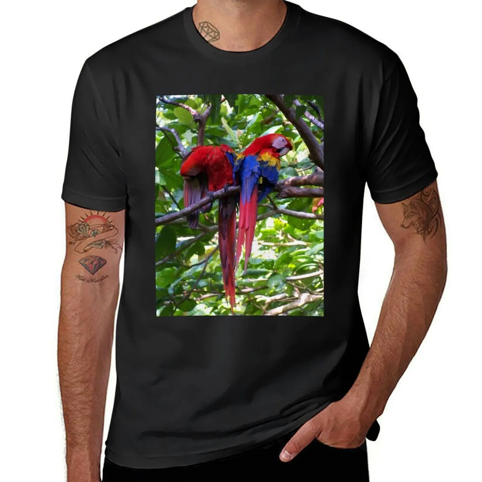 Scarlet Macaws T-Shirt shirts graphic tees customs tops t shirts for men pack