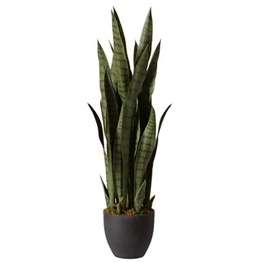

35in. Green Sansevieria in Black Planter for Home Office Decor with Durable Fiberglass Construction and Low Maintenance Care