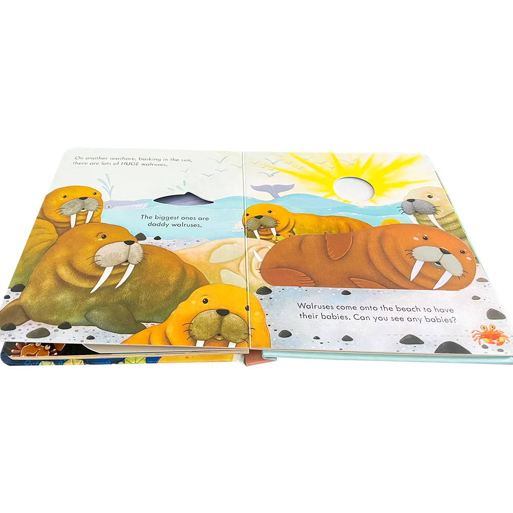 Usborne Peep Inside The Seashore ثلاثية الأبعاد رفرف كتاب صور مونتيسوري التعليمية الإنجليزية كتب للأطفال الطفل القراءة وقت النوم