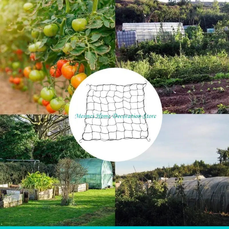 H7BF Trellis Netting Scrog Net with 4 Hook Trellis Net for Grow Tent Heavy Duty Plant Net for Cucumber Gardening Horticulture