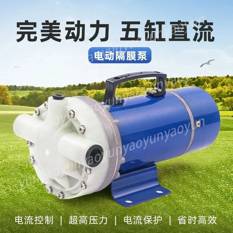 

High Pressure 12V 48V 60V Electric Sprayer, 5-Cylinder Diaphragm Pump for Agriculture Irrigation, Self-Priming Washer