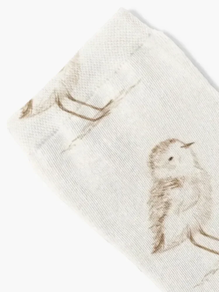 Piping Plover Chick Socks loose moving stockings Sports Stockings man Socks Male Women's