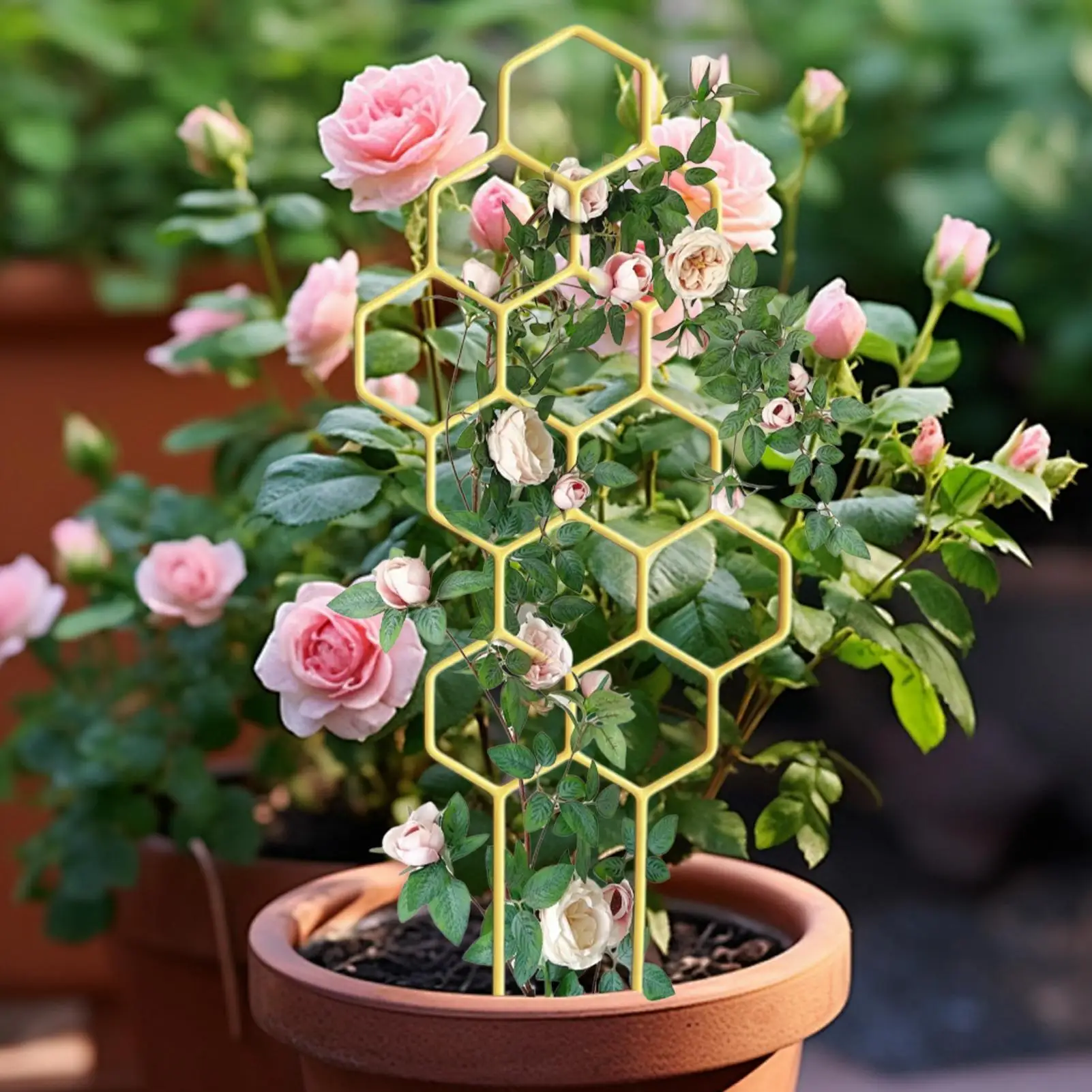 1 Stück Pflanzengestell aus Rostfreiem Kunststoff für Topfpflanzen und Blumen, Klettergerüst für Innen- und Außenbereich, Gartenpfähle