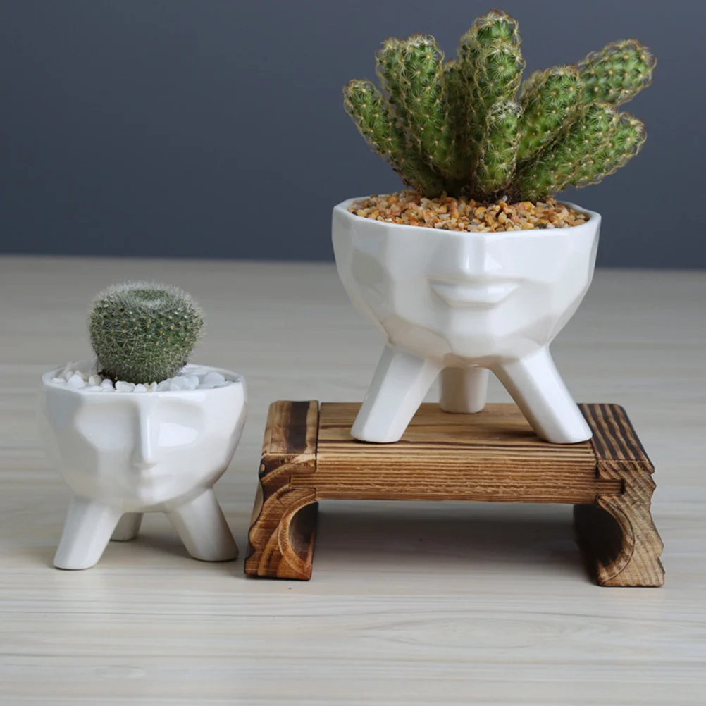 

Succulent Planter Flower Seedlings Nursery Basin Fleshy Flowerpot Decor