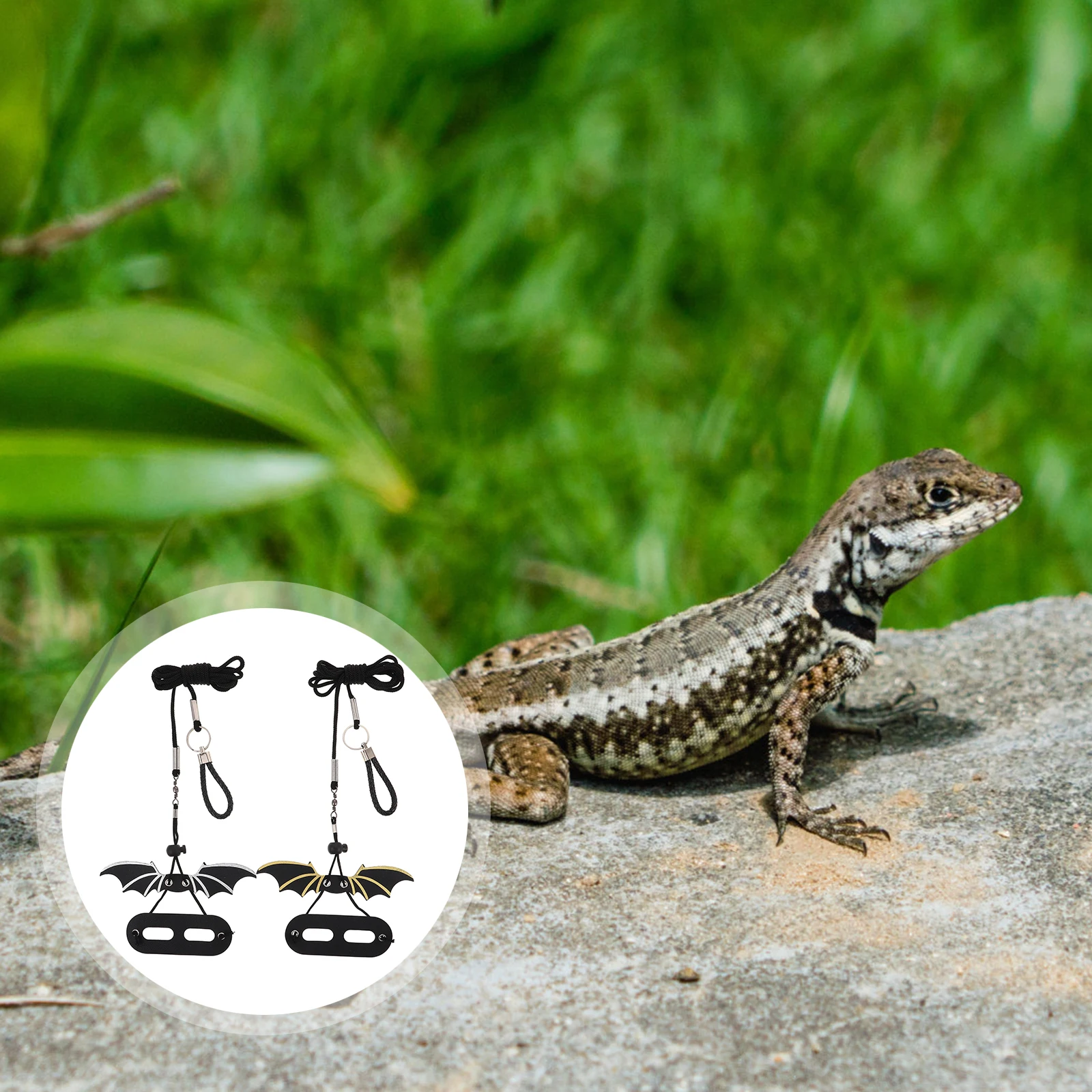 

Pet Leash Baby Bearded Dragon Rope Lizard Harness Accessories Small Animal Traction