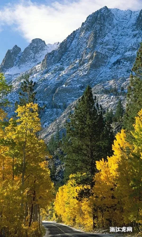 五菱繽果（ウーリン・ジェンチェン）2021-2024年式（2023、2022、2021年式）用ブラックエンジンガードプレート、スプラッシュシールド、マッドフェンダーカバー、マッドガードプロテクター