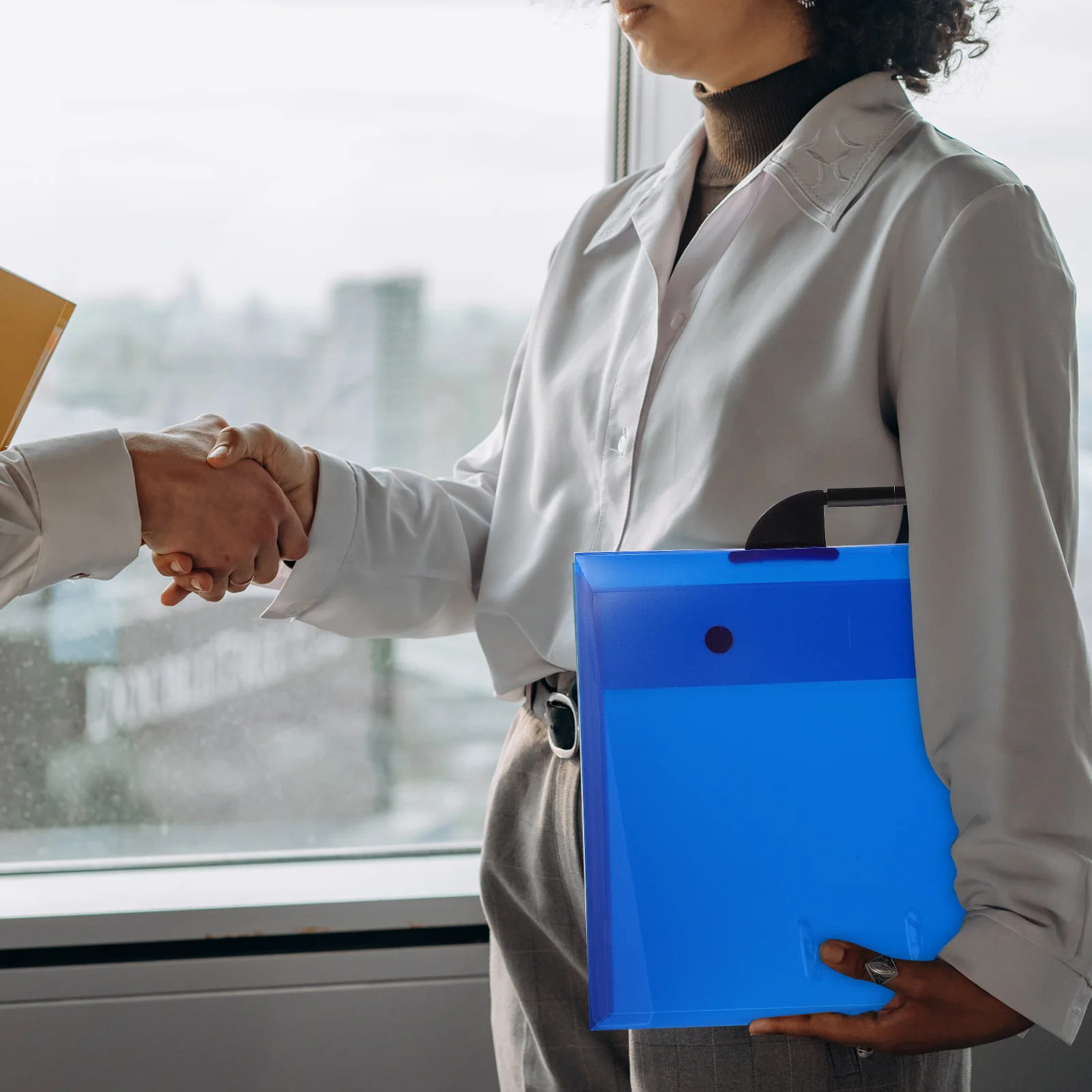 Borsa portfolio artistico A3 Cartella portatile in plastica per opere d'arte Pratico organizer multifunzione per riporre opere d'arte e pittura