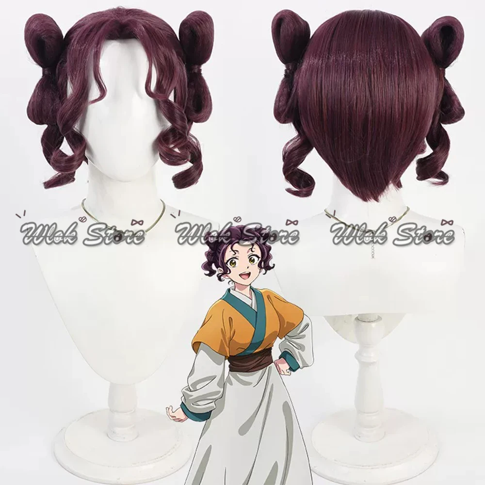 The Apothecary Diaries Shisui Cosplay Wig Dark Purple Ancient Chinese Double Bun Wig Synthetic Hair Halloween Party Accessory