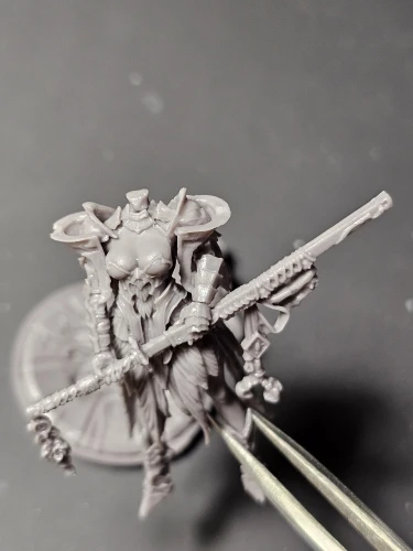 Buyer photo of this resin kit