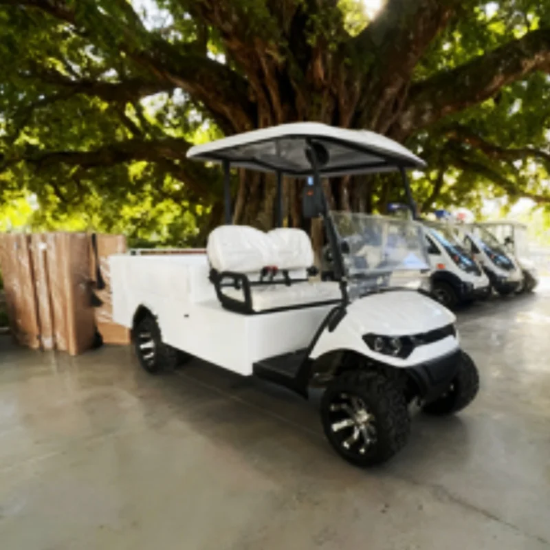 Luxury High Quality Electric Lithium Utility Vehicle Hunting Buggy Convertible Cargo Cart Off-Road Tires Aluminum Alloy Wheels