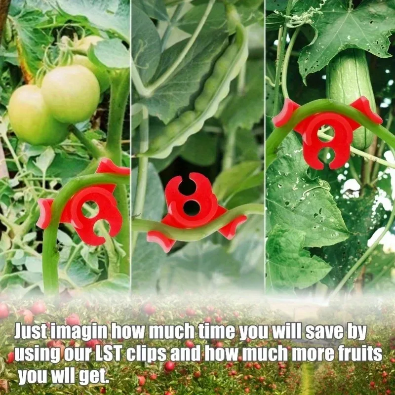 10-50PCS Plant Clamp Bending Device Flower Vine Branches Plant Stem Training Clips Plant Growth Bender Control Support Clamps