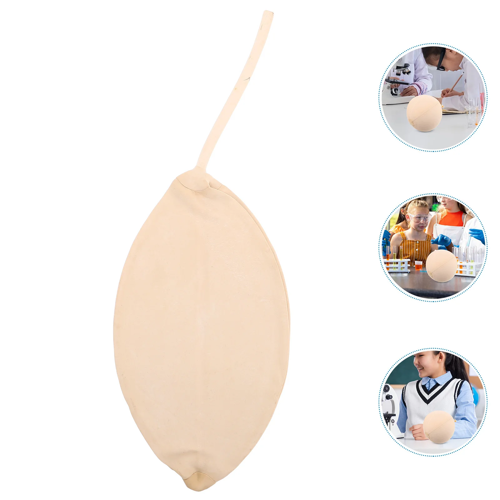 

5L Lab Rubber Bladder for Gas Sampling Versatile Internal Balloon Fast Sampling Tool for Laboratory Research and Industrial