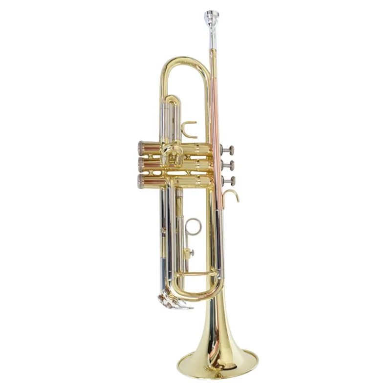 B-Flat Brass Trumpet Student Beginner Band Instrument with Case & Mouthpiece