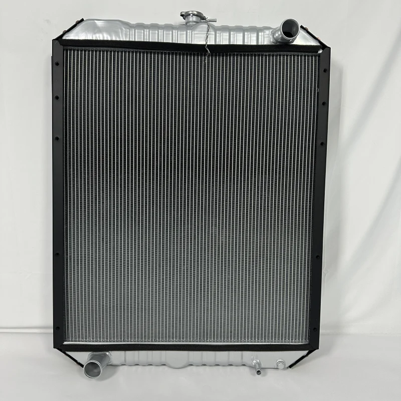 Bw Radiator with Strong Heat Dissipation Performance 1 Year Warranty