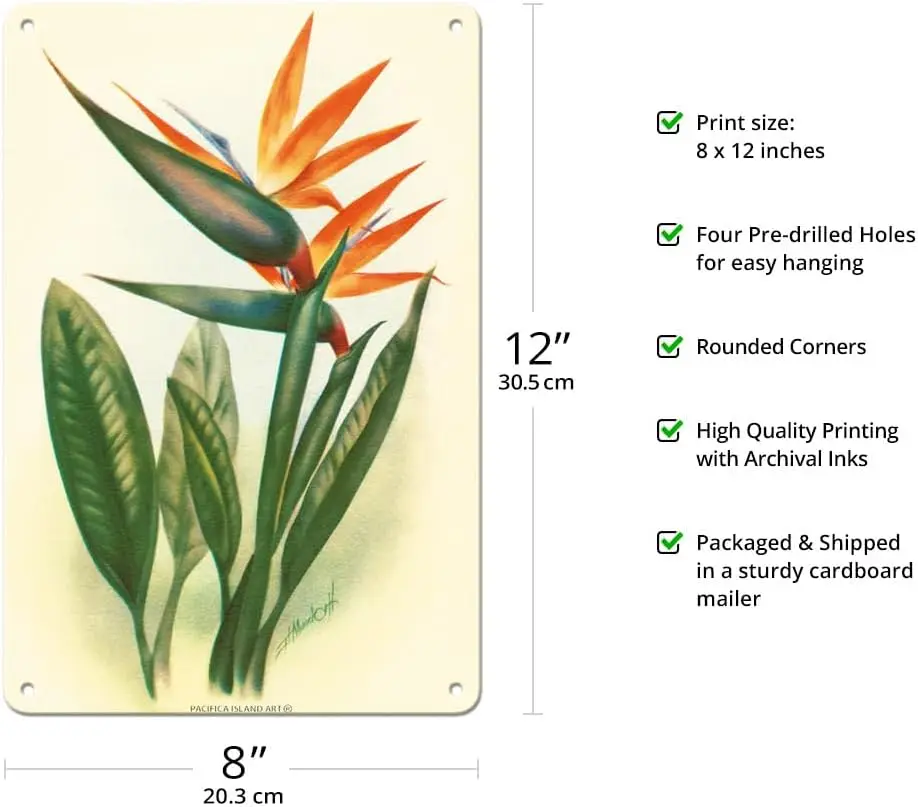 Hawaiian Bird of Paradise - Vintage Hawaiian Airbrush Art by Ted Mundorff c.1940s - 8 x 12 inch Vintage Metal Tin Sign