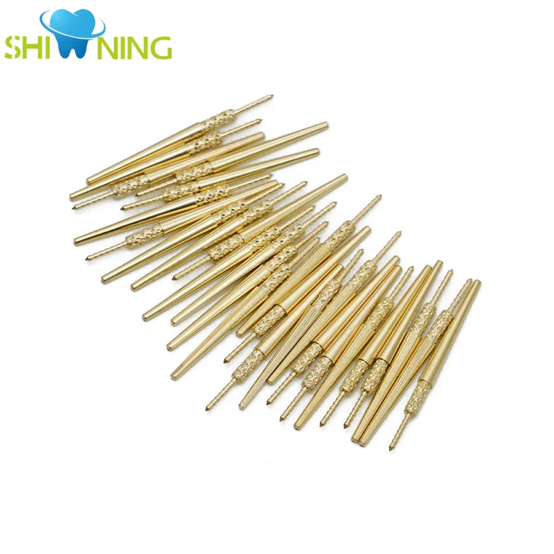 

100Pcs Dental Dowel Stick Pins with Spike Brass Pins Nails with Extended Spikes Used with Dental Pindex Posterior tooth