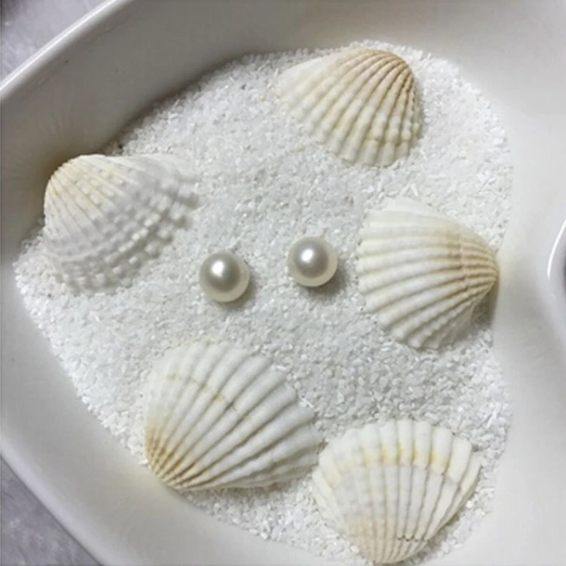 50Pcs Natural White Shell Sea Snail Fish Tank Vase Decorations White Scallop Small Ornamental Crafts 1-3CM