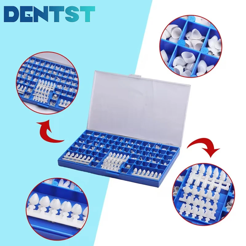 

Dental Temporary Crowns 66 Size Crown Mold Guides Premolar Molars Anterior Cuspid 390Pcs/Box Denstistry Material