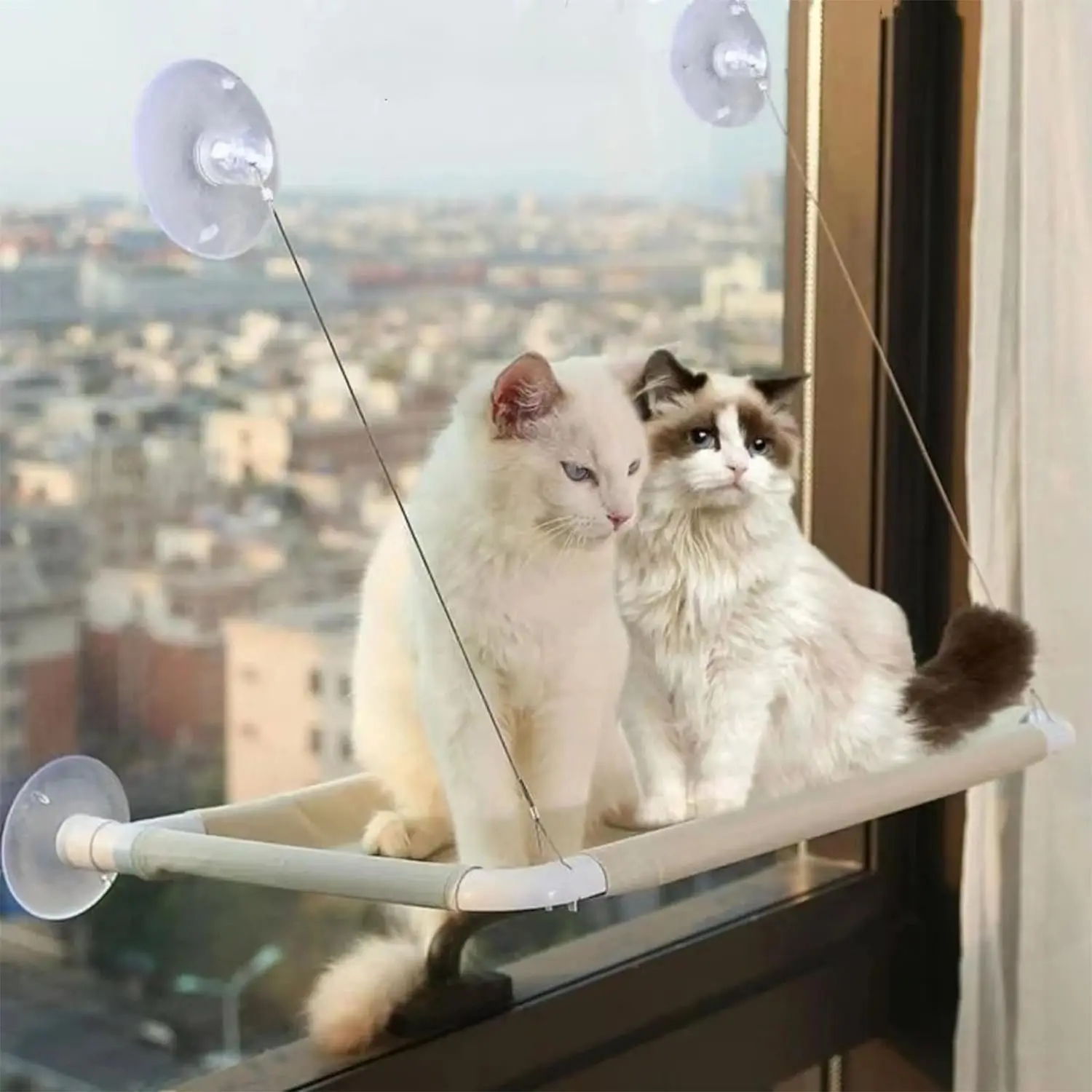 Cat bed window, cat window, hammock window, habitat safety, cat rack, space saving window, cat seat