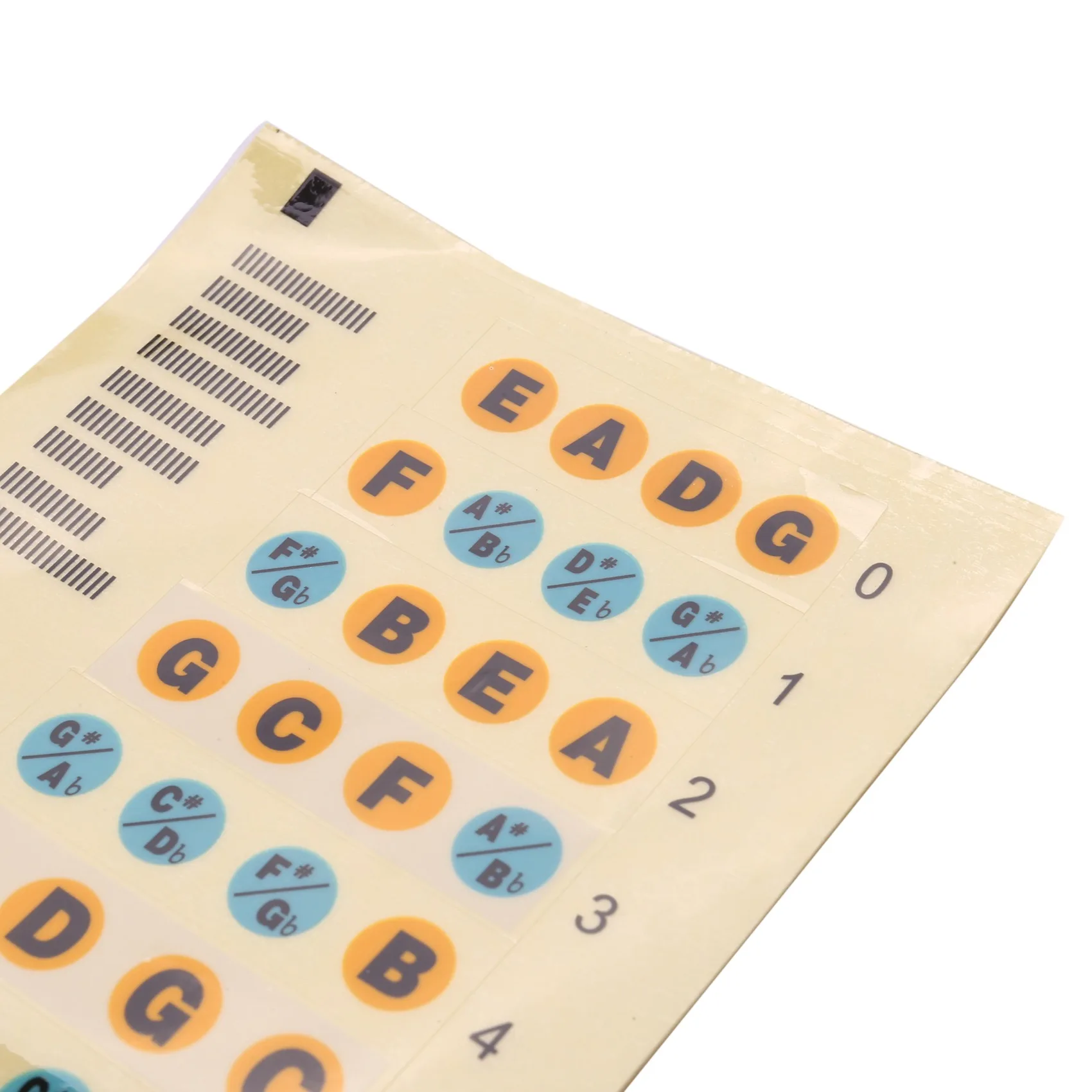 Guitar Fretboard Note Decals Fingerboard Frets Map Sticker for Beginner Learner Practice Fit 4 Strings Bass Guitar(Bass-Multicol