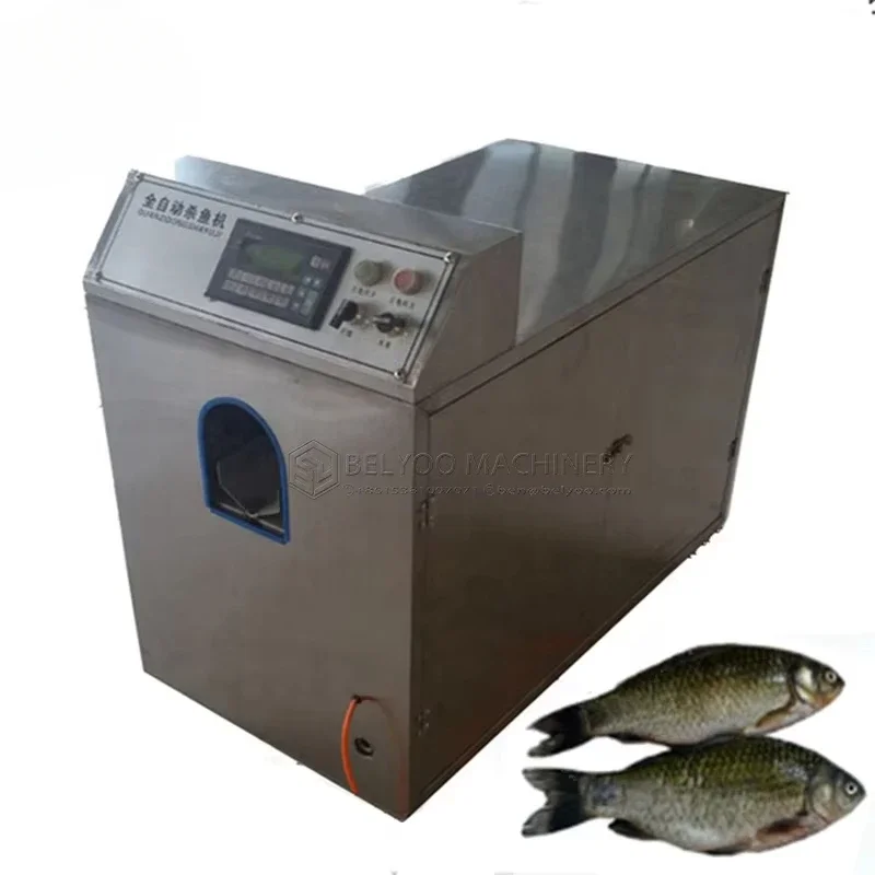 

Tilapia Yellow Croaker Viscera Removing Scaling Cleaning Automatic Carp Fish Scaler Killer s for sale