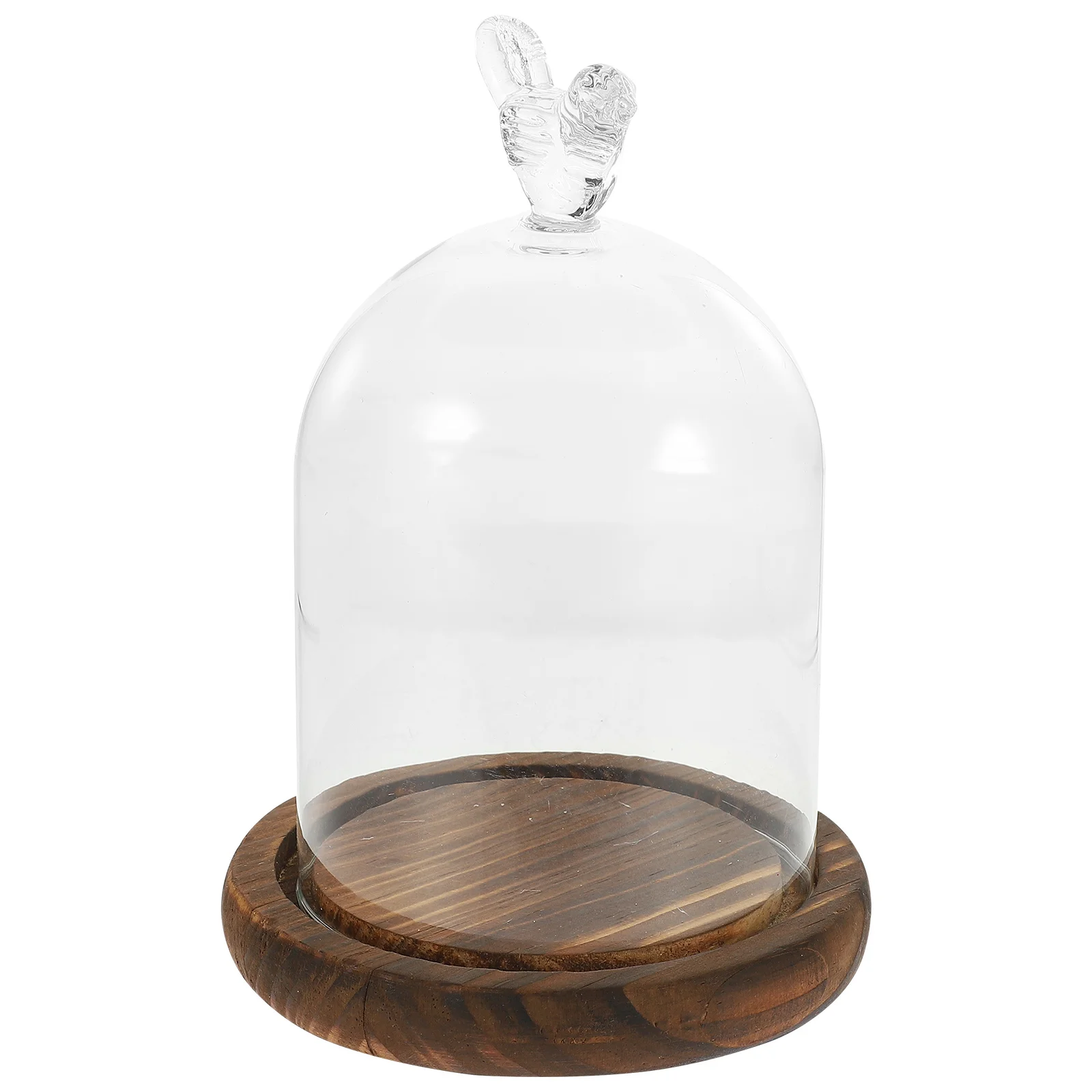 

1Pcs Transparent Glass Flower Display Cover for Cake Dessert Protection Wood Base Eternal Flower Cover Home Party Decor