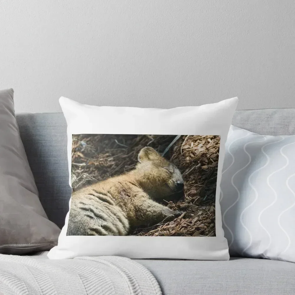 Quokka Dreaming Throw Pillow pillow cover christmas Pillows Aesthetic pillow