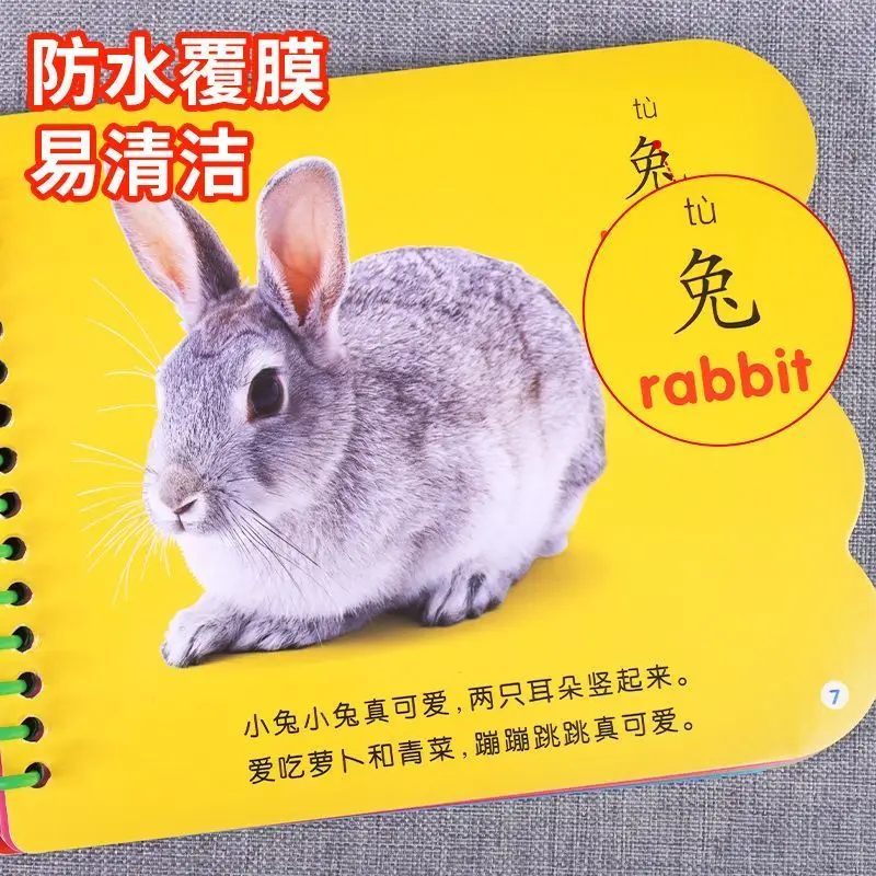 Baby Early Childhood Cognitive Learning - Infant Early Education and Intellectual Development