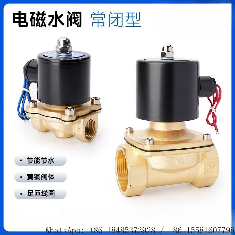 2W Series Normally Closed Brass Solenoid Valve 2/2 Way Direct Acting for Water Air Oil 2W025‑08 2W160‑15 2W200‑20 2W250‑25