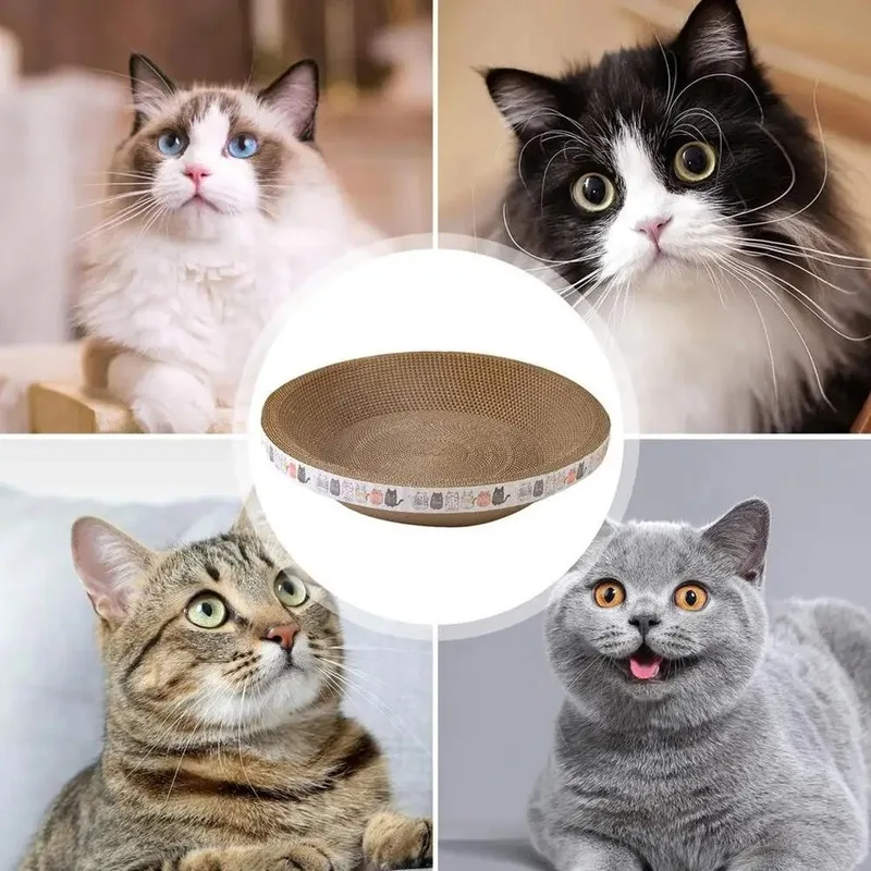 DIY Ideas for Making a Cardboard Scratcher at Home