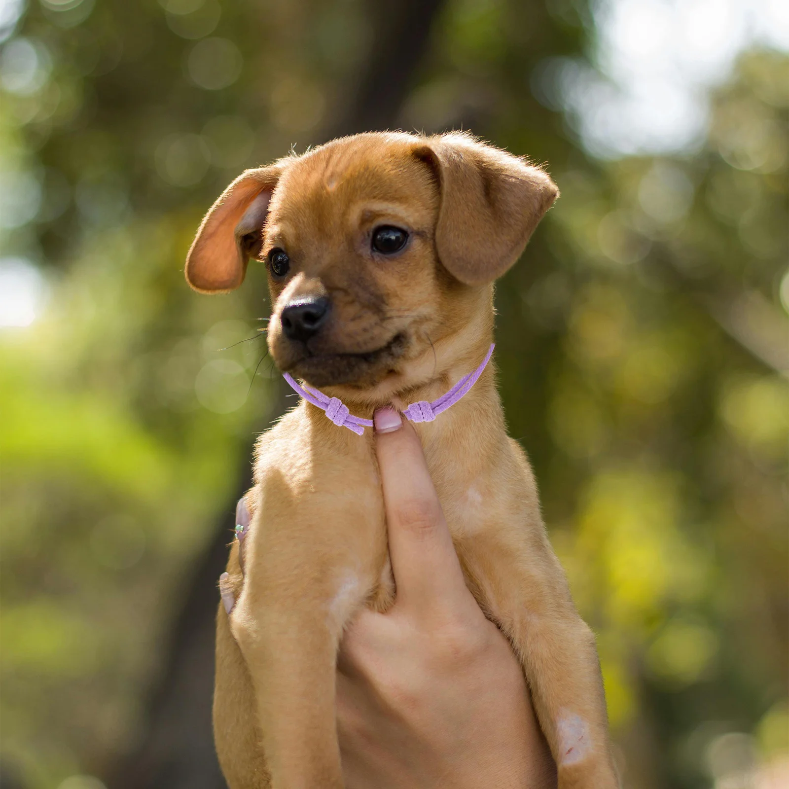 

20pcs Puppy Collars 20 Colors Adjustable Whelping Id Bands For Newborn Puppies Kittens Soft Identification Collar For Litter